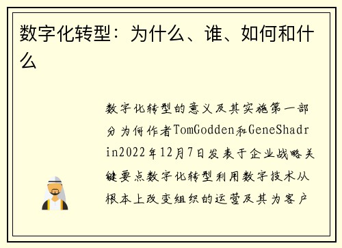 数字化转型：为什么、谁、如何和什么 